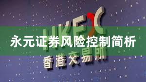 永元证券风险控制简析