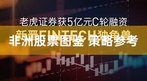 非洲股票图鉴 策略参考